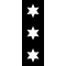 Flag of Binningen