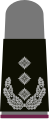 Schwarzes Grund­gewebe mit hell­grau­en Emblemen für Heeresuniform­träger (hier: Oberst ABC-Abwehrtruppe, grauer Pullover)