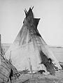 Oglala girl sitting in front of a tipi, with a puppy