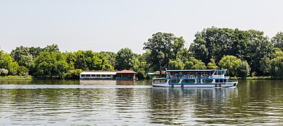 Public transport with boats