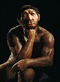 Neandertaler in der Dauerausstellung Paläolithikum