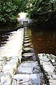 Stepping stones, Tollymore