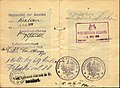 1918 Polish consular validation of a passport