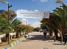 Palmenallee auf dem Campus der Deutsch-Jordanischen Universität (GJU) mit Palmen und Willkommensbanner