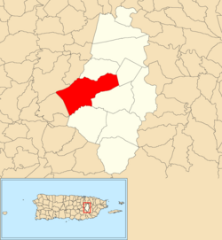 Location of Cañaboncito within the municipality of Caguas shown in red