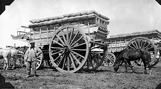 Freight wagons, Argentina 1920s