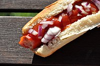 Hot dog garnished with ketchup and onions