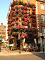View of the Mason's Arms on Hallam Street in Marylebone London W1