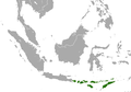Verbreitungsgebiet von C. nusatenggara