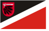 Flag of Wąbrzeźno County