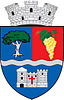 Coat of arms of Șimleu Silvaniei