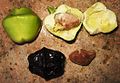 Cascabela thevetia (syn.Thevetia peruviana): dissection of toxic fruits.