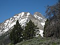 Thompson Peak as seen from Alpine Way Trail
