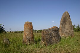 Megaliths with engraved figures in Tiya, southern Ethiopia