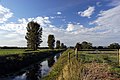 Image 8The River Brue in an artificial channel draining farmland near Glastonbury (from Somerset)