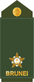 Leftenan muda (Royal Brunei Land Force)[3]