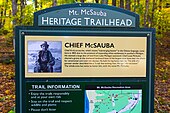 Description of Chief McSauba