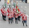 The National Guards Unit of the Bulgarian Army in 2007
