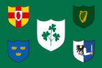 Ireland rugby team flag