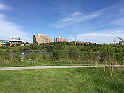 View of southeast Steeles from L'Amoreaux Park