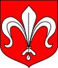 Coat of arms of Gmina Radzanów
