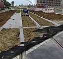 The rails are covered while the track bed is being filled (Strasbourg tramway)