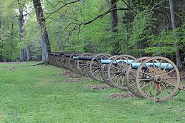 row of old cannons