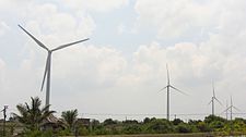 Close-up view of the turbines at Uppudaluwa Wind Farm.