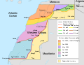 Image 3System of the Moroccan Walls in Western Sahara set up in the 1980s (from Western Sahara)