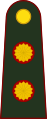 General de brigada (Argentine Army)[9]