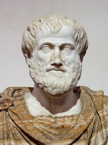 A marble bust of Aristotle. He has a full beard and short, combed-forward hair, and is wearing a yellow alabaster mantle.