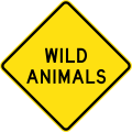 (W5-49) Wild Animals