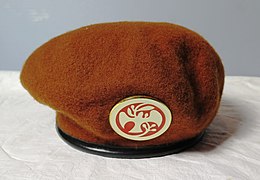 Beret of the Multinational Force and Observers with a metal and enamel badge.