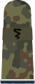 Sanitätssoldat SanOA (Army Medical Officer Candidate with the equivalent rank of private E2)