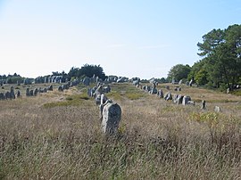 Standing stones in the Kermario alignment