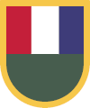 US Army Southern European Task Force