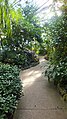 Pathway through the Tropical house