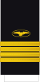 Capitán de navío (Ecuadorian Navy)[53]