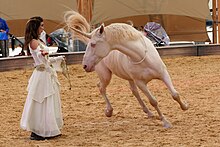 Eine Frau in einem langen weißen Kleid steht mit ausgebreiteten Armen vor einem weißen Pferd mit künstlichem Horn. Das Pferd ist in Bewegung, so dass man den Schweif fliegen sieht und nicht alle Hufe den Boden berühren.