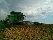 Harvesting sorghum in Oklahoma, USA, with a combine harvester