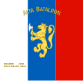 Standard of the Alta Battalion