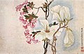 Painting of pink lily magnolias and white anise magnolias on scroll. The lily magnolias are small and left of center, and the thin branch is almost intertwined with the branch of the four white magnolias, of which three are in bloom, located center to the right of the scroll. Light blue is used to bring out the edges of the white flowers. One line of calligraphy in the bottom right of the painting