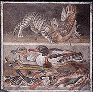 Ancient Roman mosaic of a car killing a partridge from the House of the Faun in Pompeii