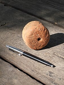 Loom weight discovered in Bersabe, Galilee