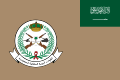 Flag of the Royal Saudi Land Forces (Ratio: 2:3)
