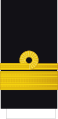 Flotilės admirolas (Lithuanian Naval Force)[7]