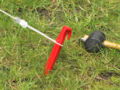 A narrower plastic tent peg in softer soil, with rope and mallet.