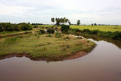 Paddy field in Oluvil