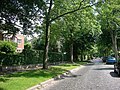 Typisches Straßenbild: eine ruhige und gepflegte Wohnstraße