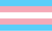 Trans pride flag, made up of horizontal stripes of (from top to bottom) light blue, pink, white (which represents nonbinary people), pink and light blue.